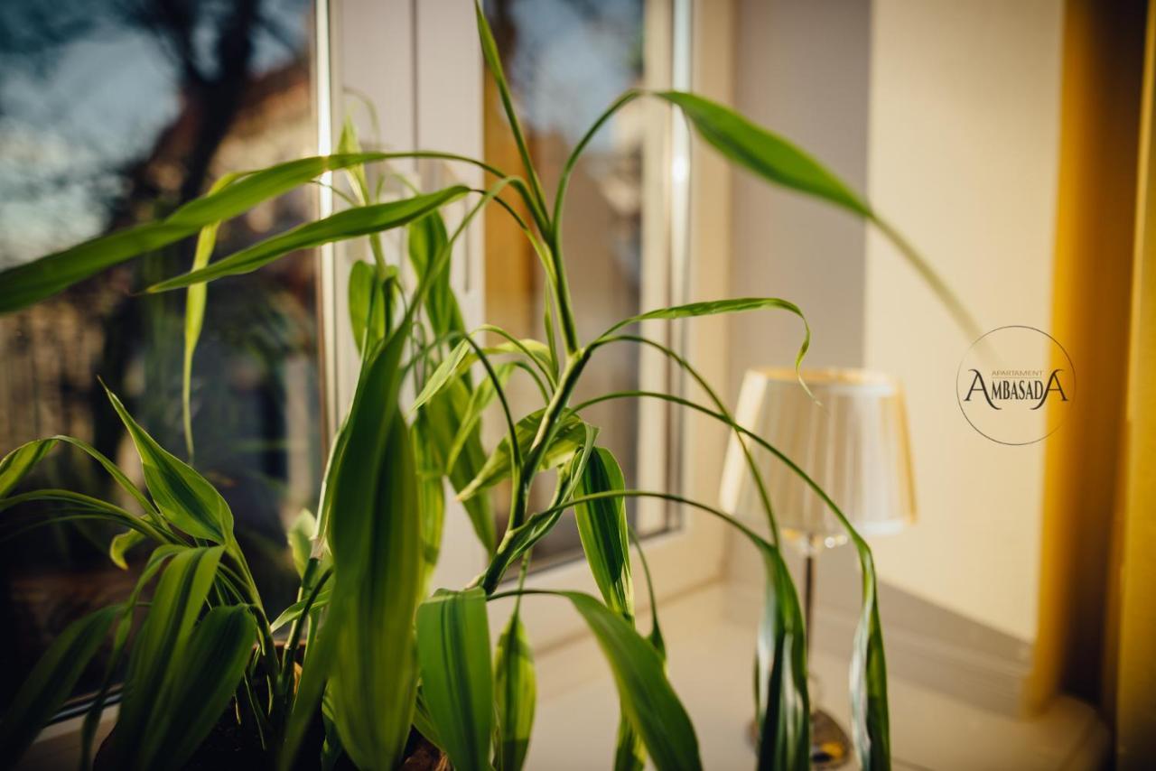 Apartament Ambasada Zamość Exteriör bild